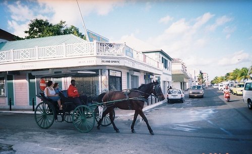 Horse Carriage Nassau