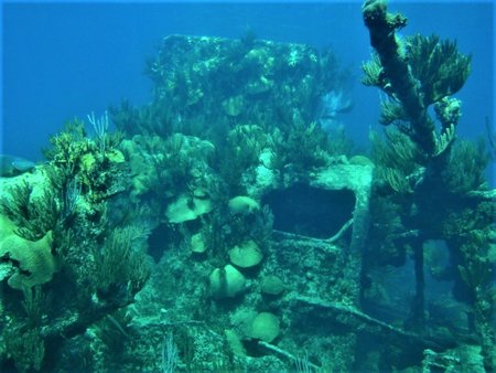 Montana Shipwreck