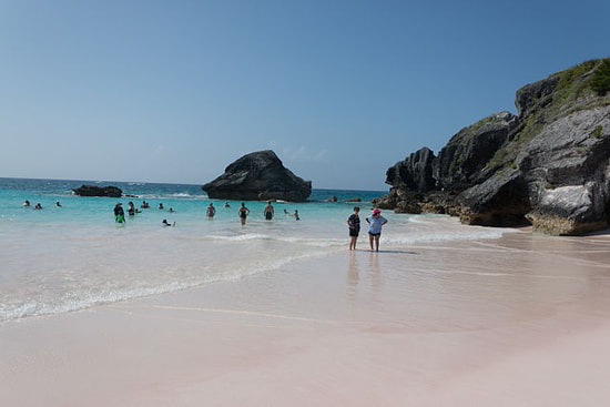 Horseshoe Bay Beach Bermuda